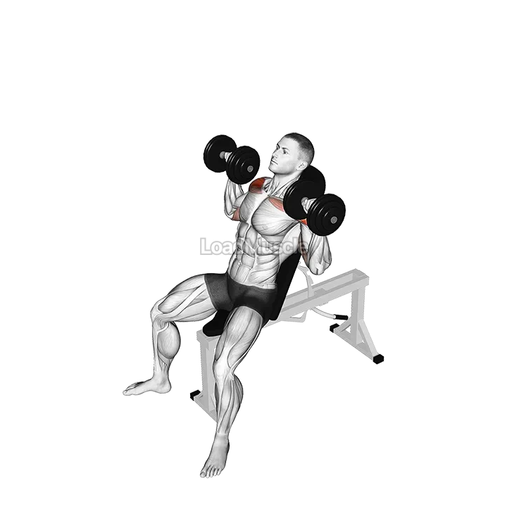 Dumbbell Incline Shoulders Press demonstration