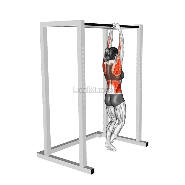 Commando Pull-up demonstration