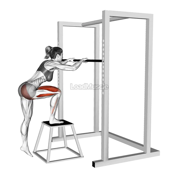 Bodyweight Glute Dominant Step-up demonstration