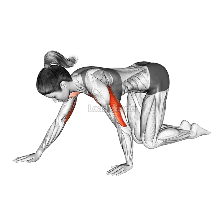 Kneeling Staggered Push-up demonstration