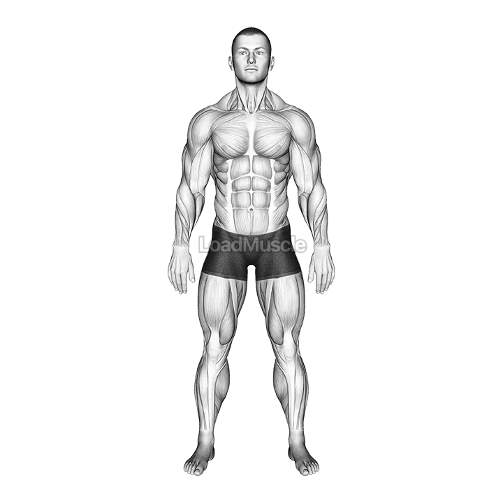 Standing Hands Position (Pronation Supination Neutral) demonstration