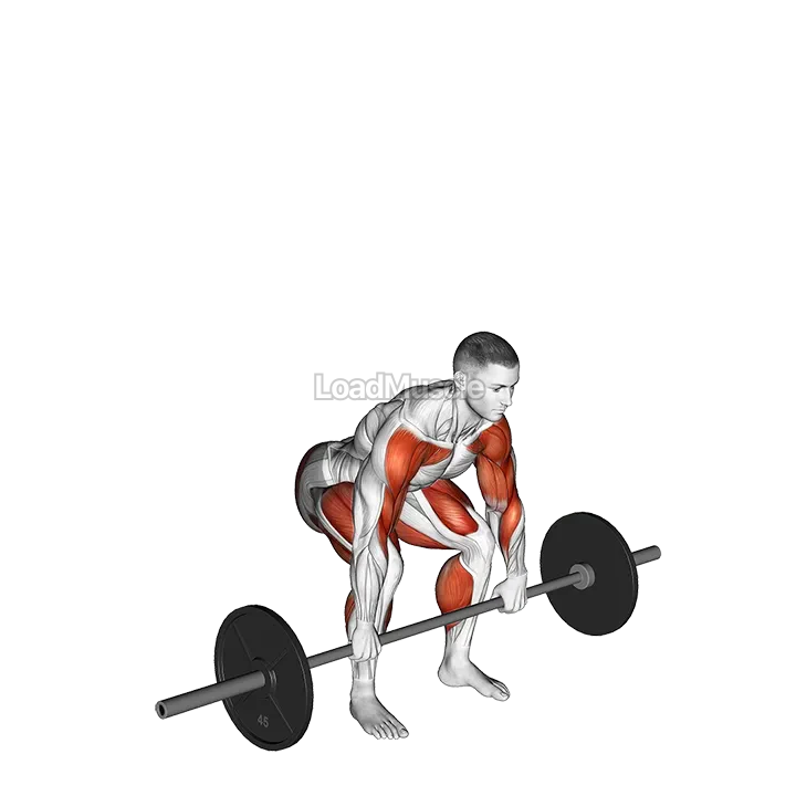 Barbell Full Clean demonstration