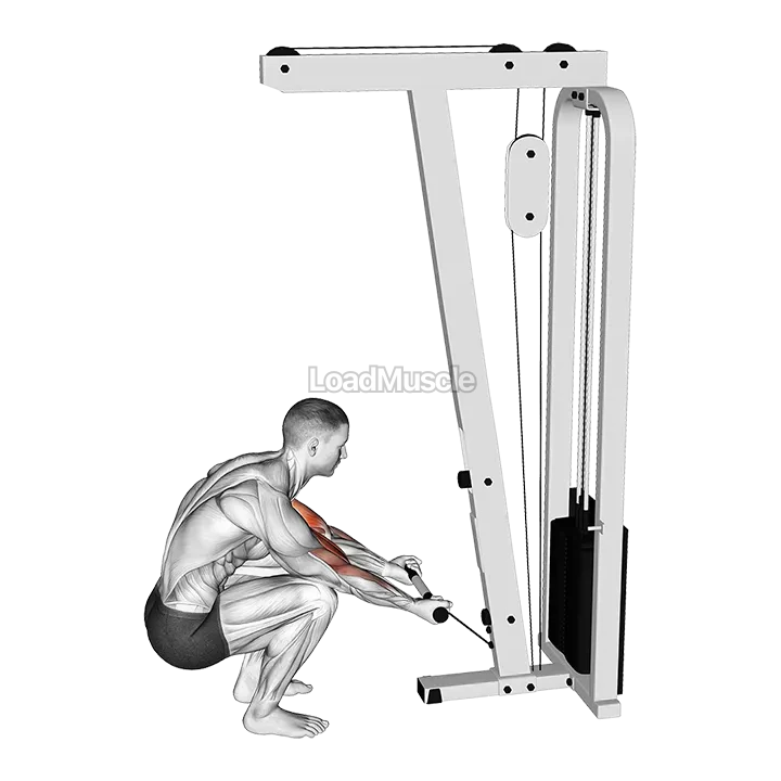 Cable Kneeling Preacher Curl demonstration