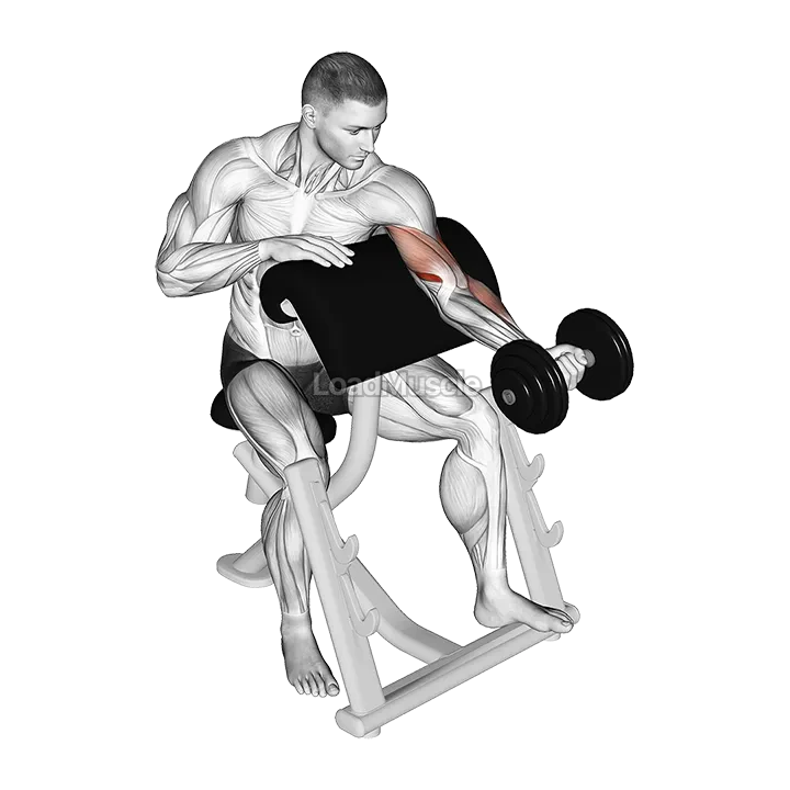 Dumbbell Preacher Curl (Turned Torso) demonstration