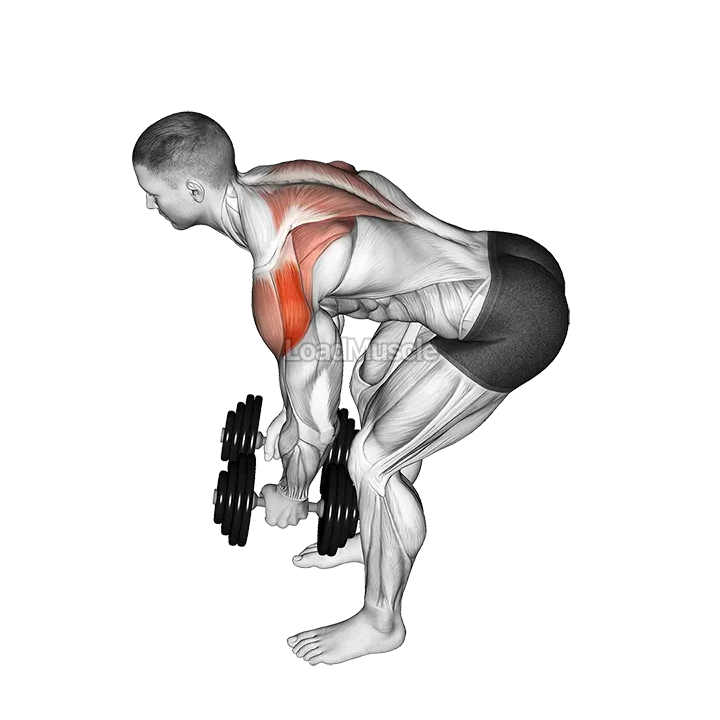 Dumbbell Rear Delt Fly (45 degrees) demonstration