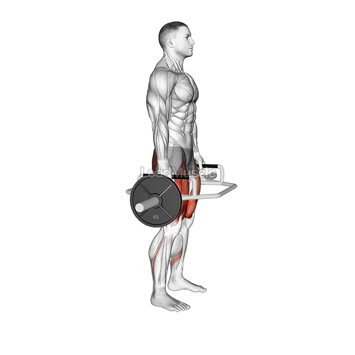 Trap Bar Squat demonstration