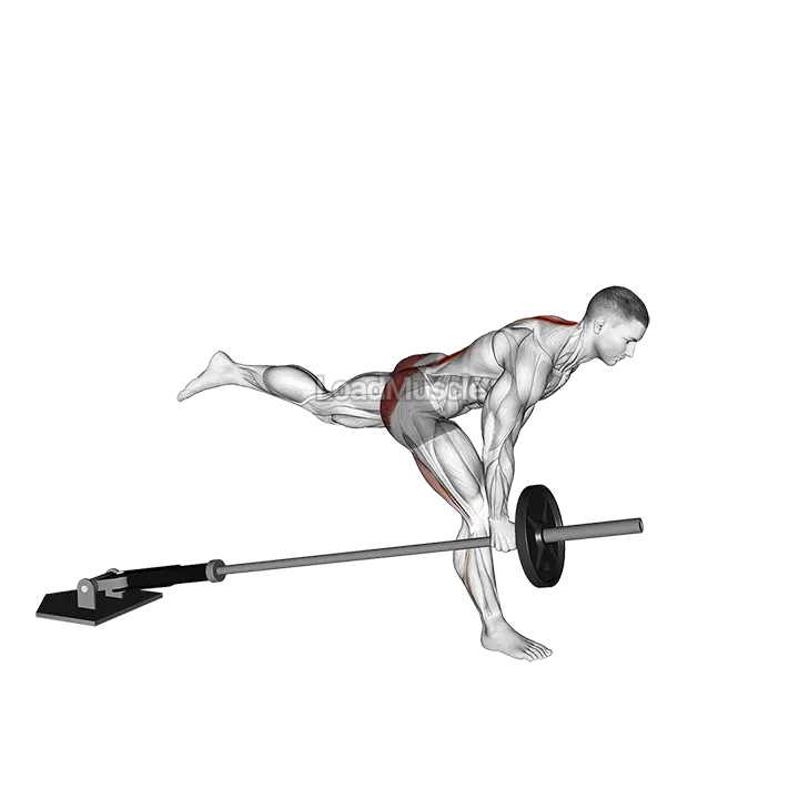 Landmine One Leg Stiff Leg Deadlift demonstration