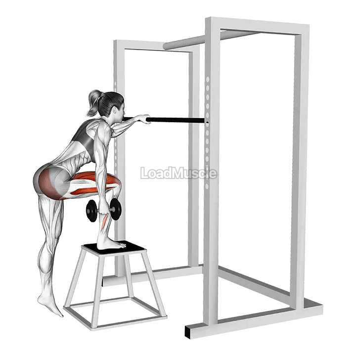 Dumbbell Glute Dominant Step-Up demonstration