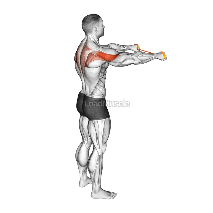 Resistance Band Pull Apart (45 degrees) demonstration