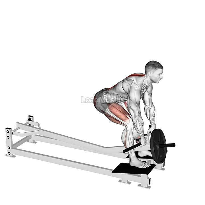 Lever T-bar Romanian Deadlift demonstration