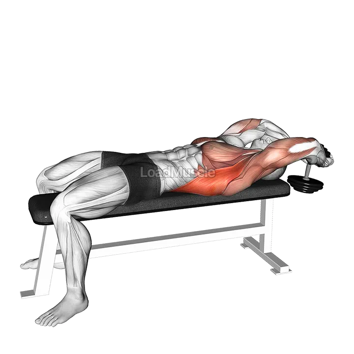 Dumbbell Pullover demonstration