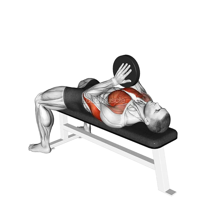Svend Bench Press demonstration