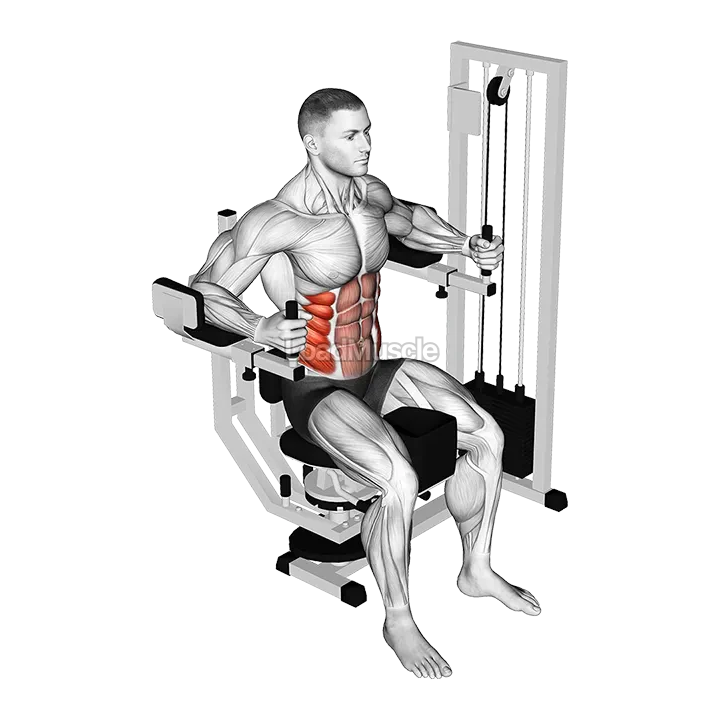 Lever Trunk Rotation demonstration