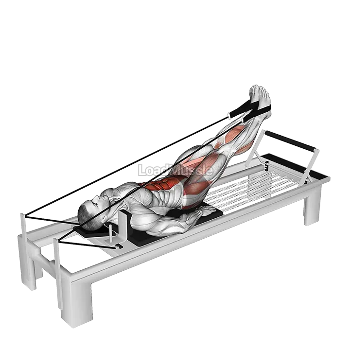 Lever Abduction Leg Raise demonstration