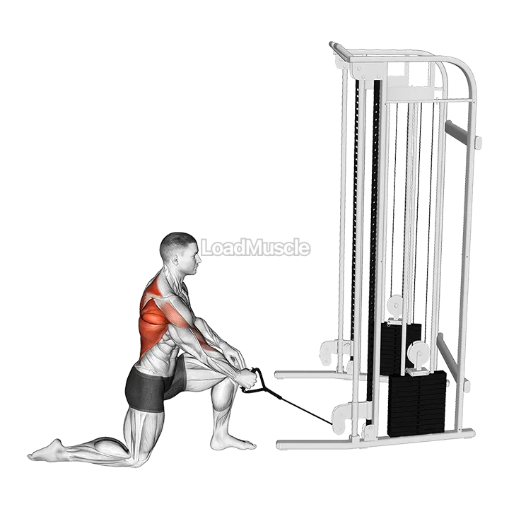 Cable Kneeling One Arm Row demonstration