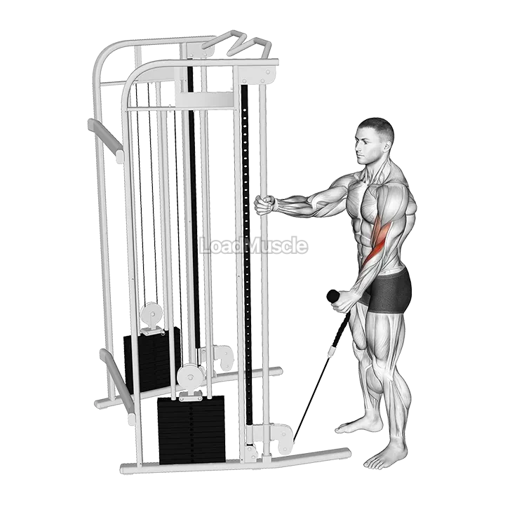 Cable Standing One Arm Hammer Curl with Rope Attachment demonstration