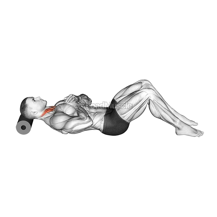 Roll Neck Decompress Lying on Floor demonstration