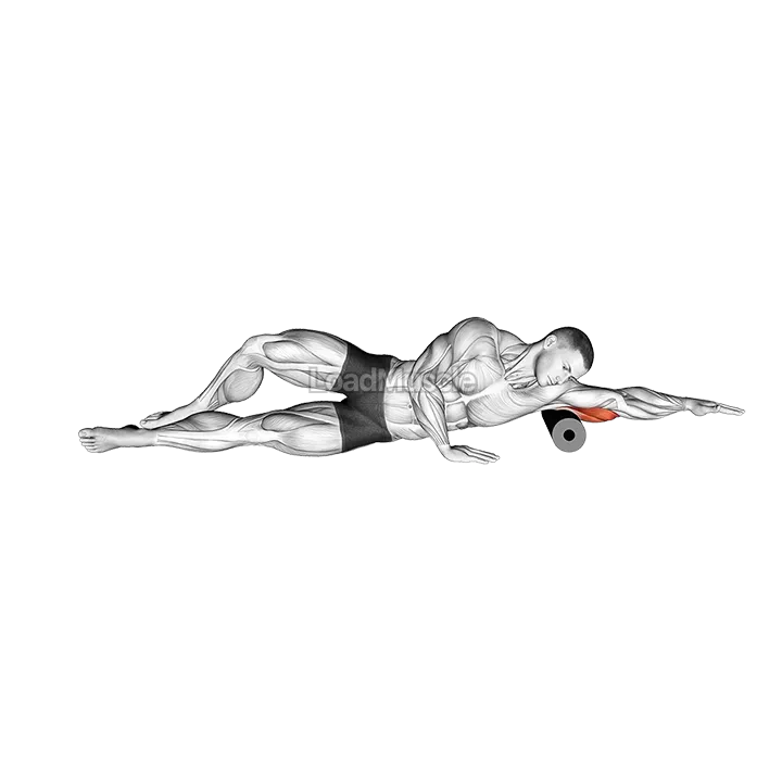 Roll Triceps Side Lying on Floor demonstration