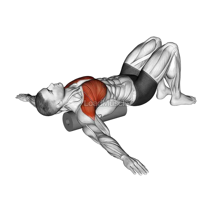 Roll Chest Opener Lying on Floor demonstration