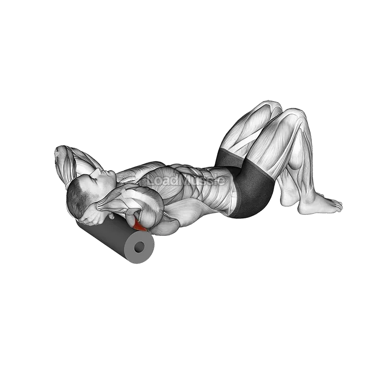 Roll Shoulder Back Rotation Lying on Floor demonstration