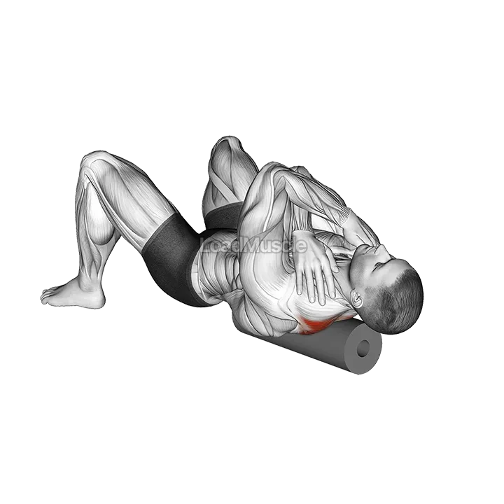 Roll Rhomboids demonstration