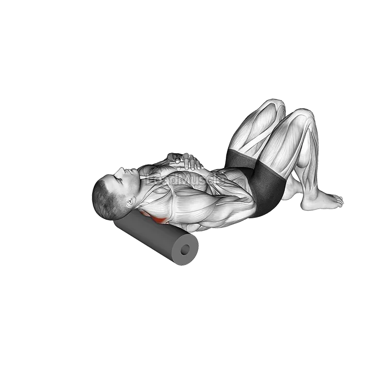 Roll Middle Back Lying on Floor demonstration