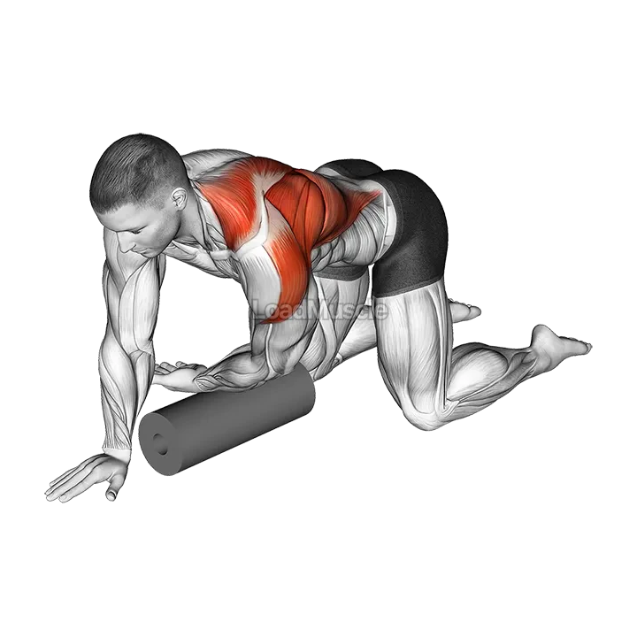 Roll Kneeling Upper Back Rotation demonstration