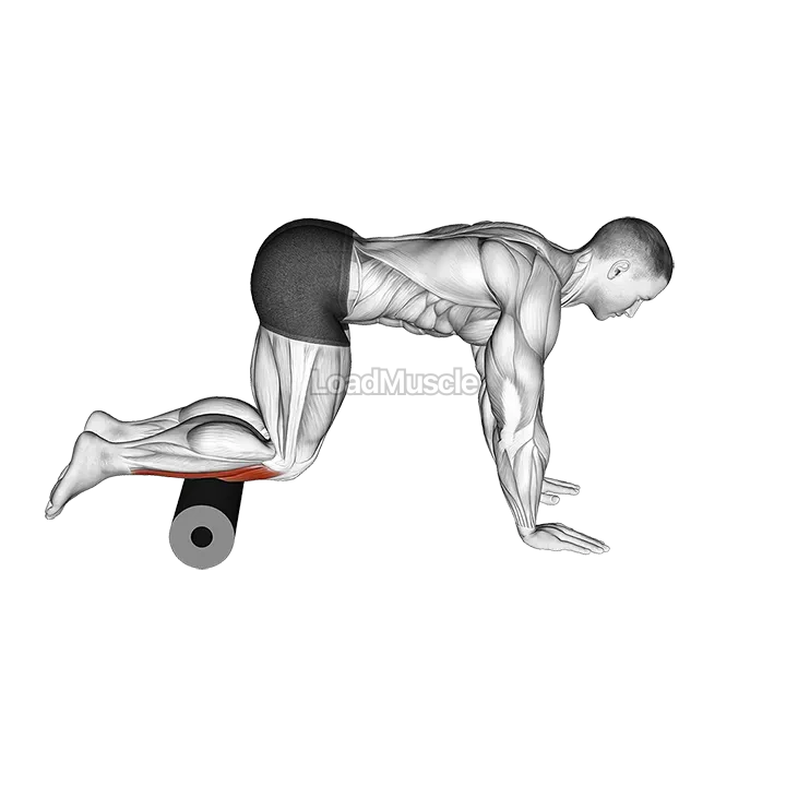 Roll Tibialis Anterior demonstration