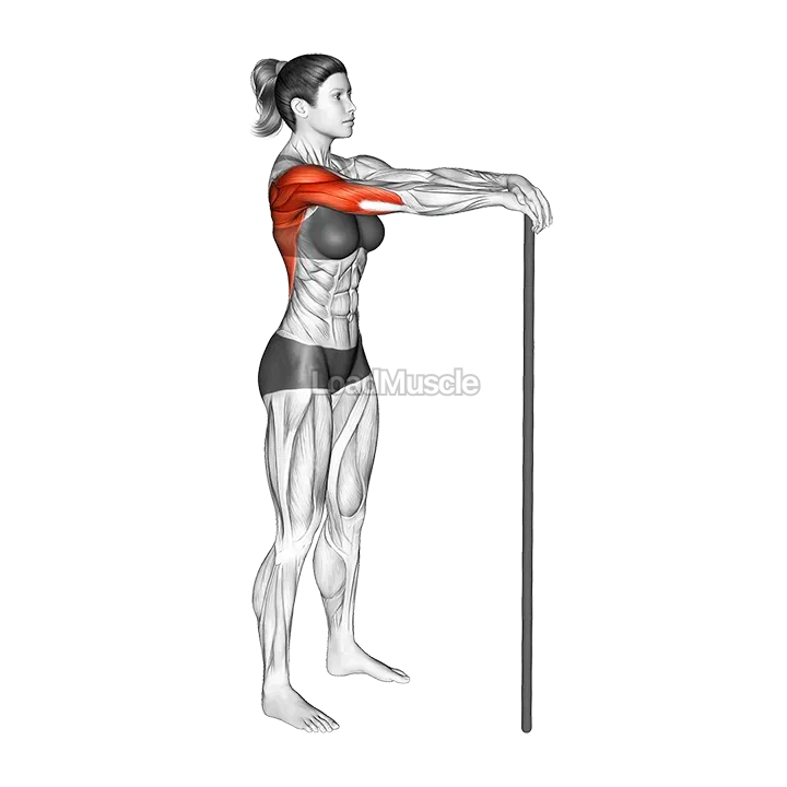 Stick Lat Stretch demonstration