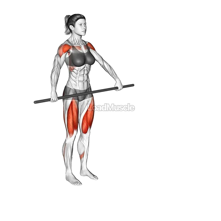 Stick Lunge with Overhead Raise Stretch demonstration