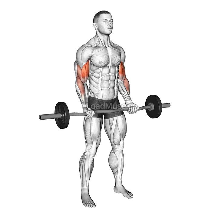 EZ-bar 21s demonstration