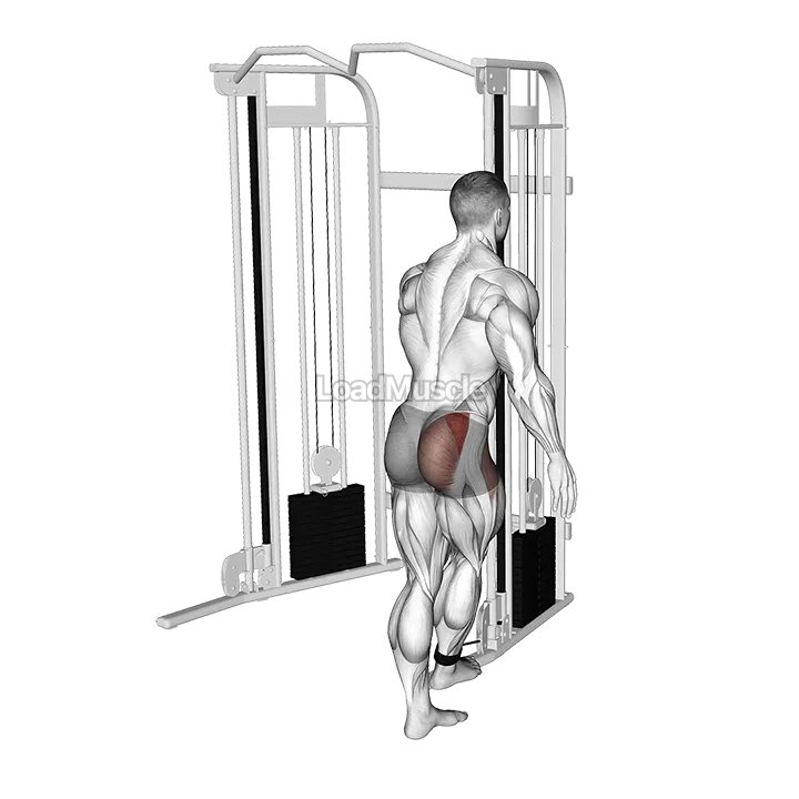 Cable Medius Kickback demonstration