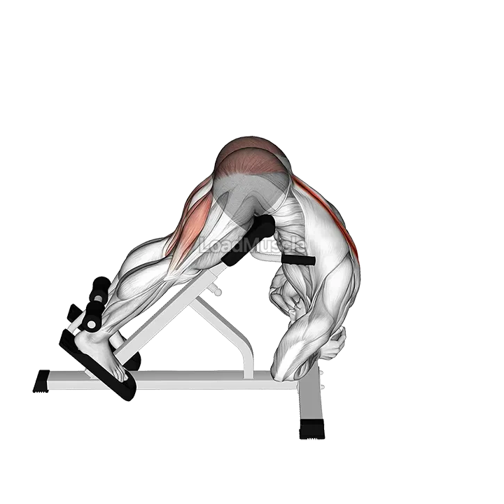 Rounded Back Extension demonstration