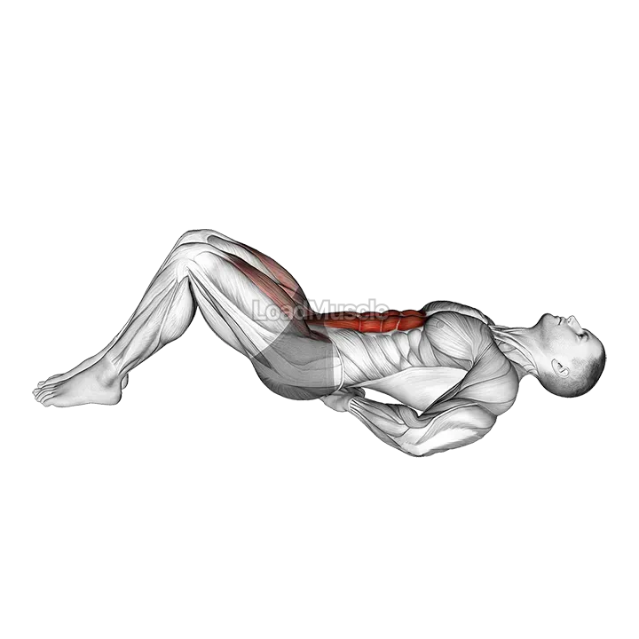 Lying Bent Legs Raise demonstration