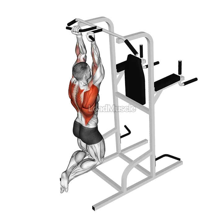 Supinated Narrow Grip Pull-up demonstration