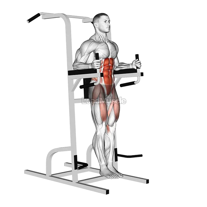 Vertical Leg Raise (on parallel bars) demonstration