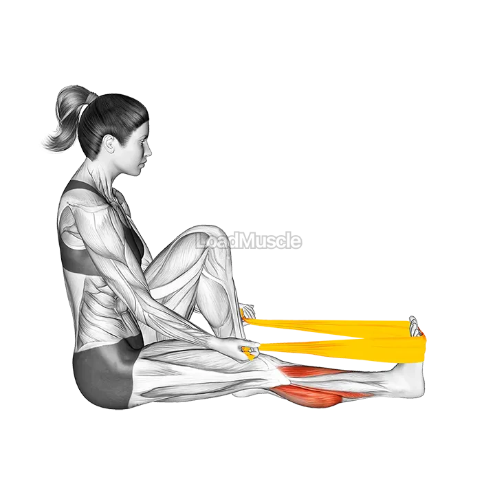 Resistance Band Seated Calf Stretch demonstration