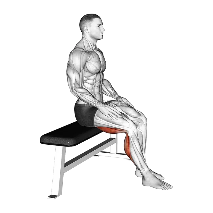 Seated Foot Slide demonstration