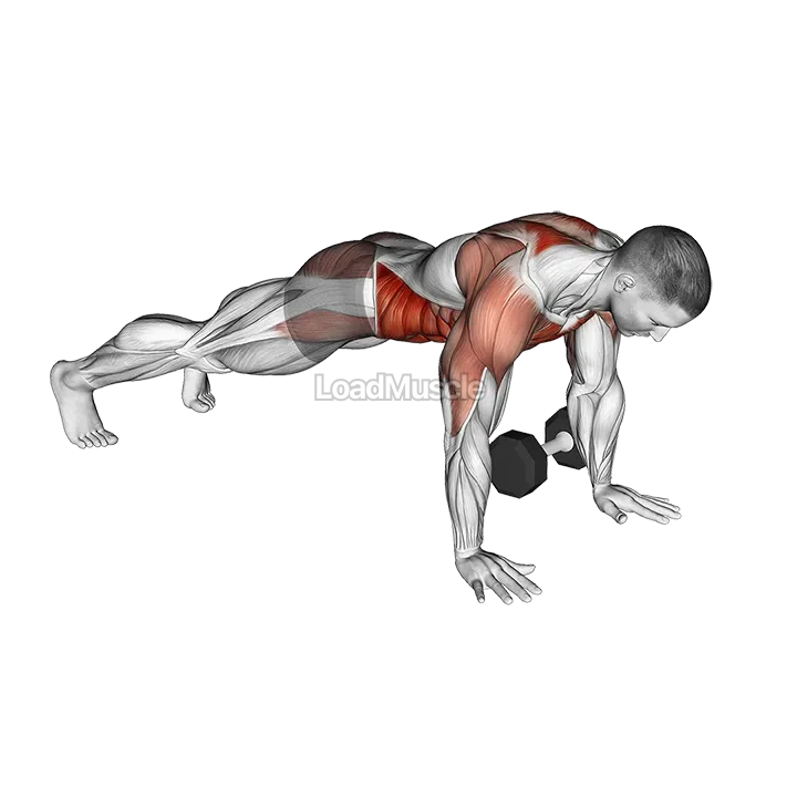 Dumbbell Plank Pass Through demonstration