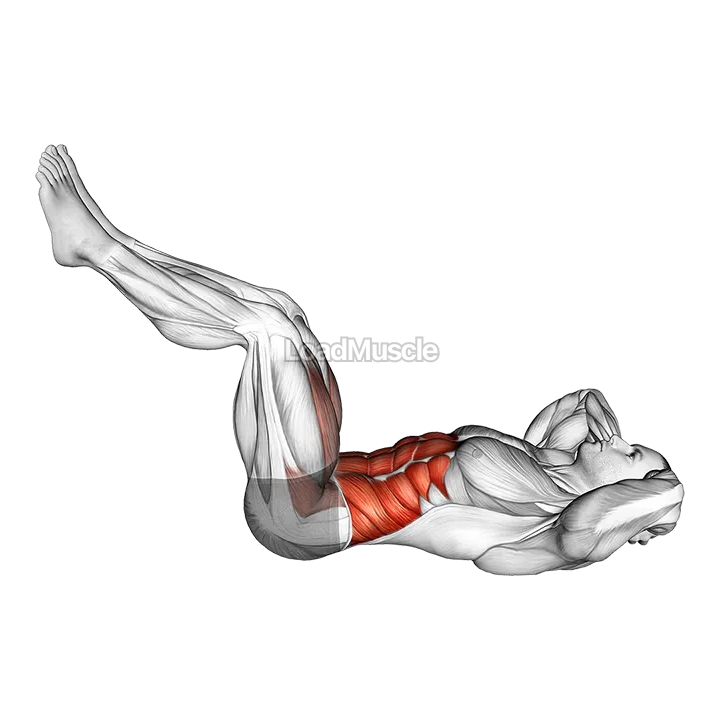 Twist Crunch (Legs Up) demonstration