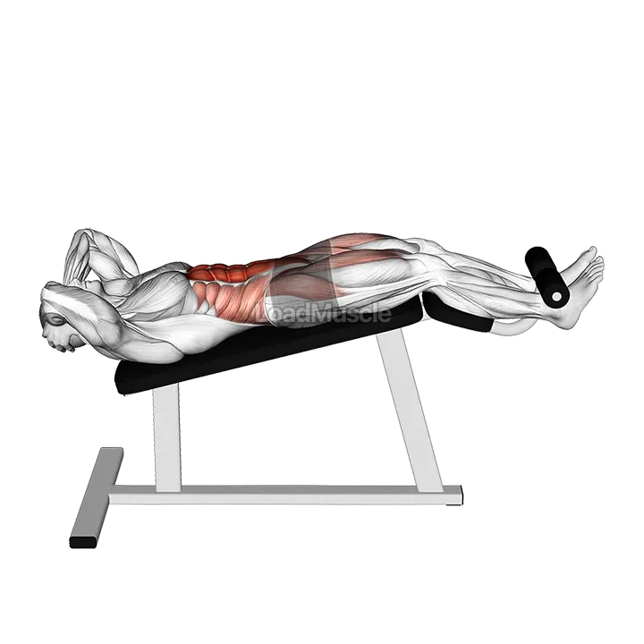 Decline Sit-Up demonstration