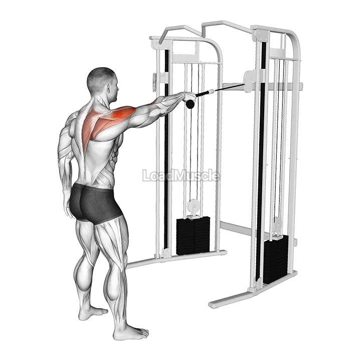 Cable Standing One Arm Face Pull demonstration