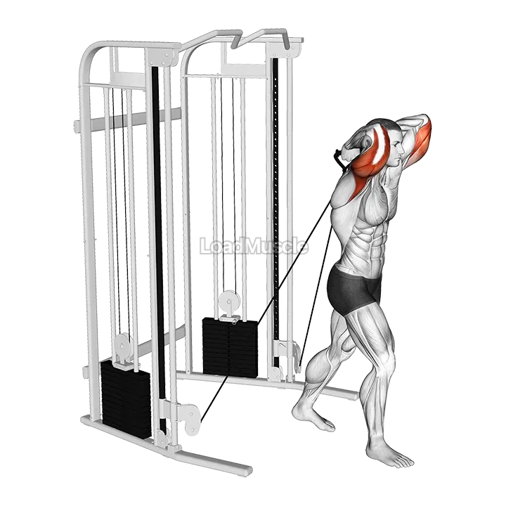 Cable Standing Crossover Overhead Tricep Extension demonstration