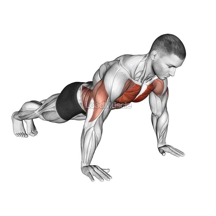 Negative Push-up demonstration