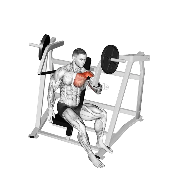 Lever One Arm Incline Chest Press (plate loaded) demonstration