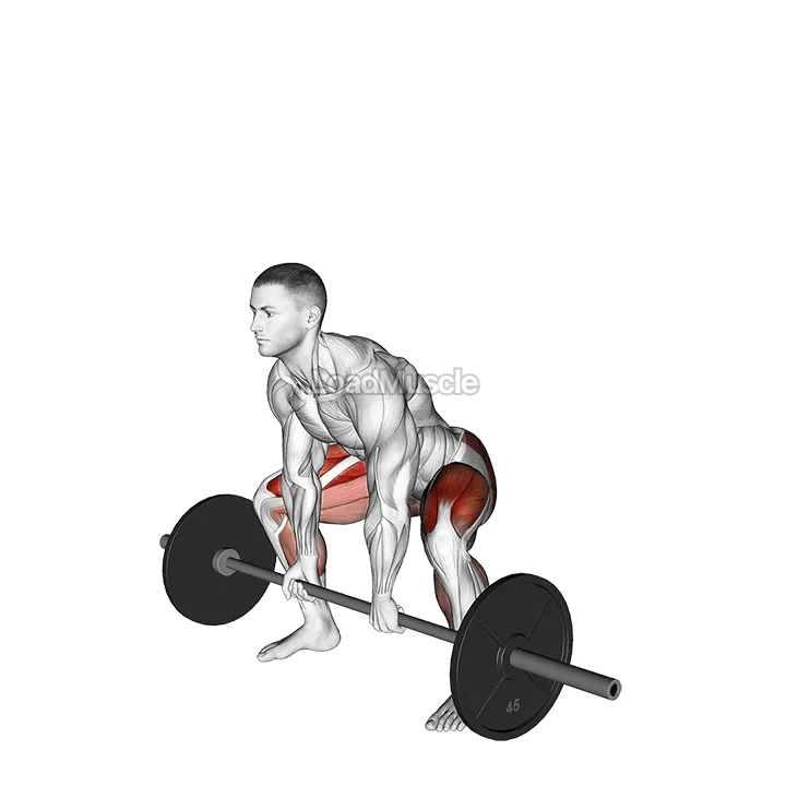 Barbell Paused Sumo Deadlift demonstration