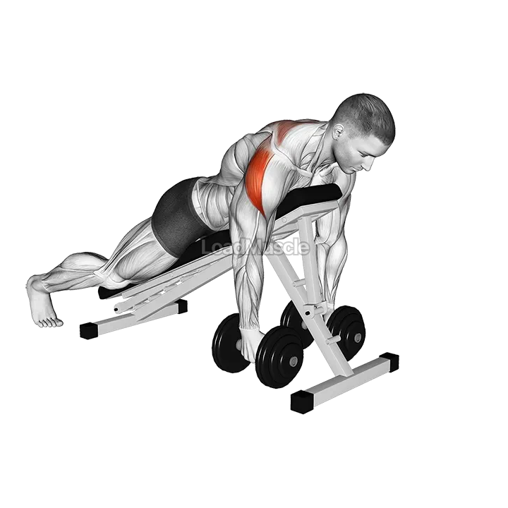 Dumbbell Prone Rear Delt Swing demonstration