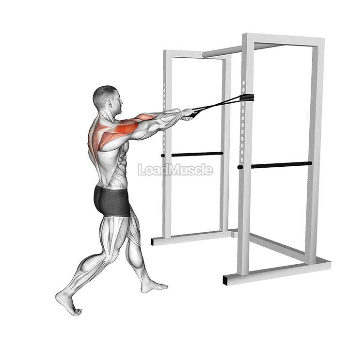 Band Face Pull demonstration