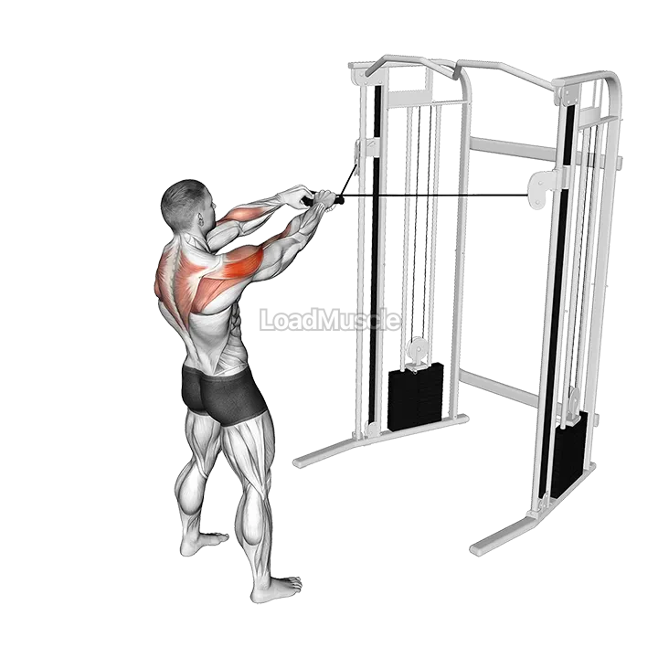 Cable Standing Face Pull demonstration
