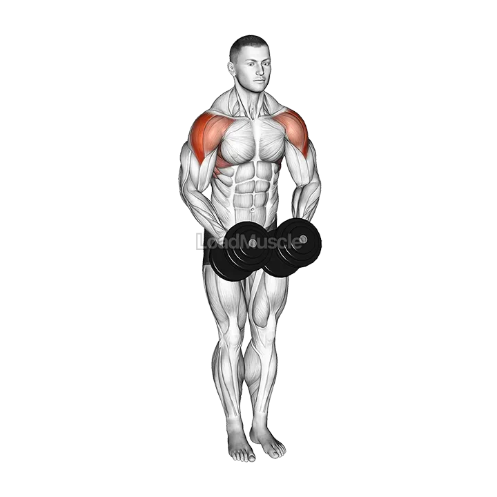 Dumbbell Standing Bent Arm Lateral raise demonstration